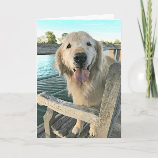 Golden Retriever Dog op een Dock Denking van U Kaart (Voorkant)