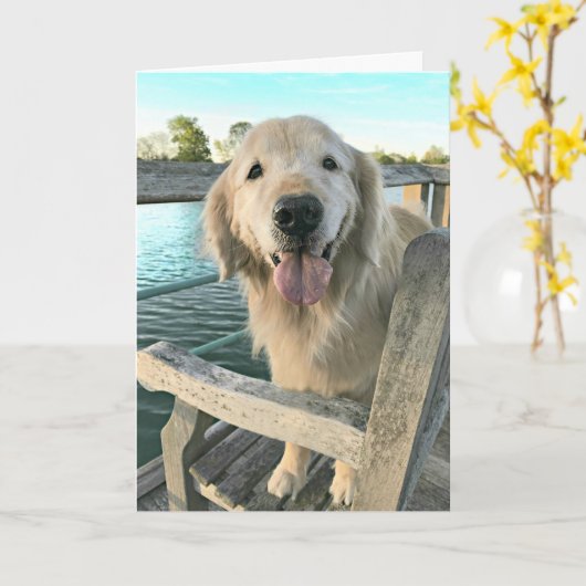 Golden Retriever Dog op een Dock Denking van U Kaart (Gele Bloem)