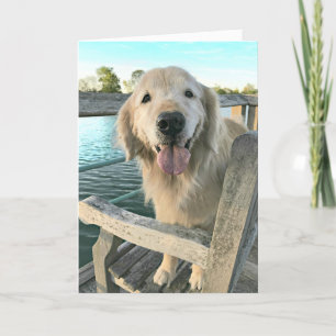 Golden Retriever Dog op een Dock Denking van U Kaart