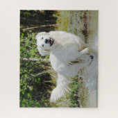Golden Retriever Dog Pet Animal Joyully Runing Legpuzzel (Verticaal)