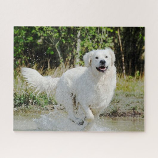 Golden Retriever Dog Pet Animal Joyully Runing Legpuzzel (Horizontaal)