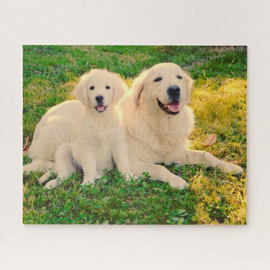 Golden Retriever Dog Pet Animal Mam of Pap & Pup Legpuzzel (Horizontaal)