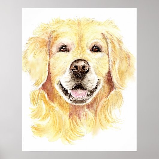 Golden Retriever Dog Pet Animal waterverf Poster (Voorkant)