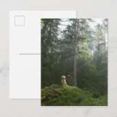 Golden Retriever Dog | Pine Woodland Briefkaart (Voorkant / Achterkant)
