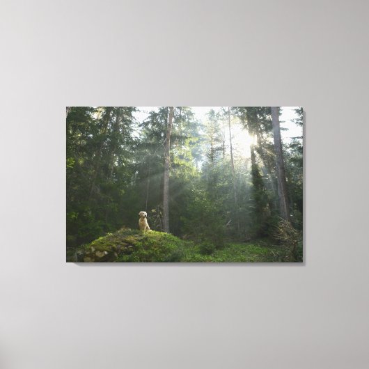 Golden Retriever Dog | Pine Woodland Canvas Afdruk (Voorkant)