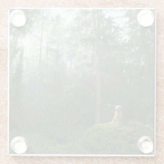 Golden Retriever Dog | Pine Woodland Glazen Onderzetter (Achterkant)