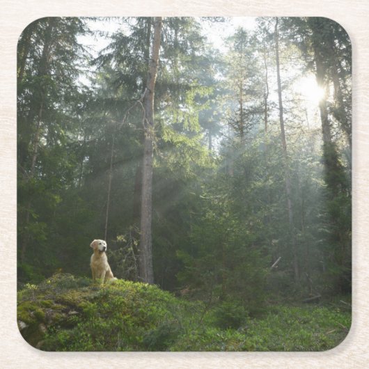 Golden Retriever Dog | Pine Woodland Kartonnen Onderzetters (Voorkant)