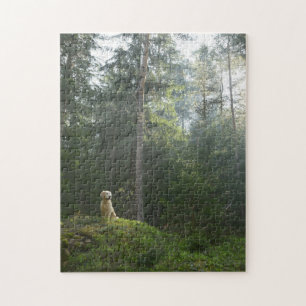 Golden Retriever Dog   Pine Woodland Legpuzzel