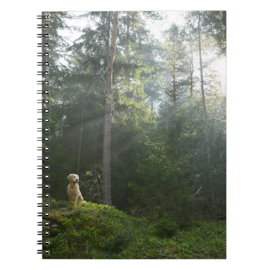 Golden Retriever Dog | Pine Woodland Notitieboek (Voorkant)