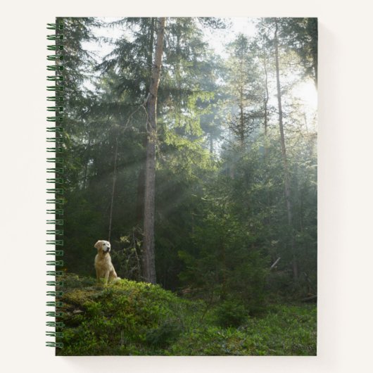Golden Retriever Dog | Pine Woodland Notitieboek (Voorkant)