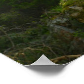 Golden Retriever Dog | Pine Woodland Poster (Hoek)