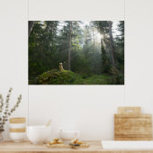 Golden Retriever Dog | Pine Woodland Poster (Keuken)