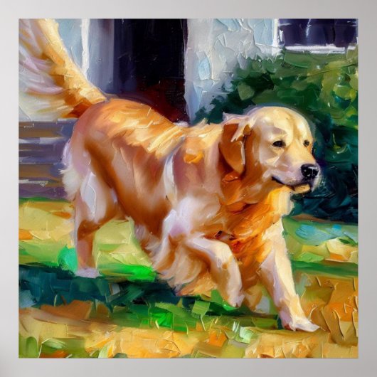 Golden Retriever Dog Poster (Voorkant)