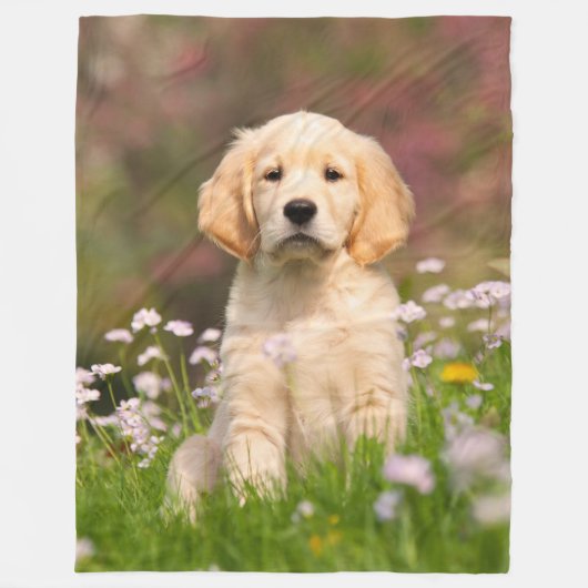 Golden Retriever Dog Puppy, comfortabel Fleece Deken (Voorkant)