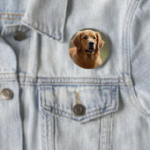 Golden Retriever Dog Ronde Button 5,7 Cm (In situ)