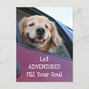 Golden Retriever Dog Safe Travel Adventures Briefkaart