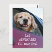 Golden Retriever Dog Safe Travel Adventures Briefkaart (Voorkant / Achterkant)