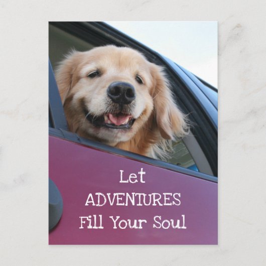 Golden Retriever Dog Safe Travel Adventures Briefkaart (Voorkant)