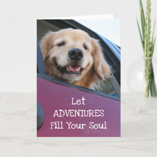 Golden Retriever Dog Safe Travel Adventures Kaart