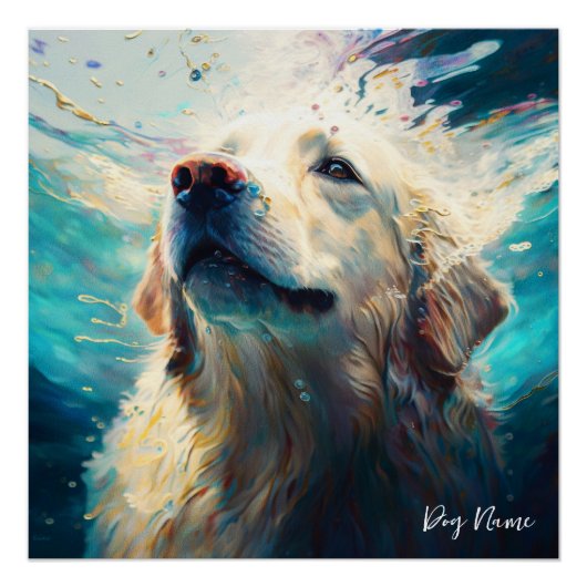 Golden Retriever dog swimming in water 005 Perfect Poster (Voorkant)