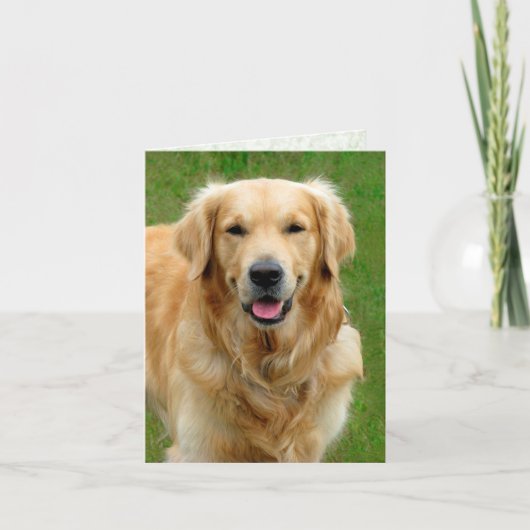 Golden Retriever—Dog Sympathikaart Kaart (Voorkant)