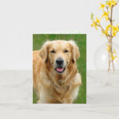 Golden Retriever—Dog Sympathikaart Kaart (Gele Bloem)