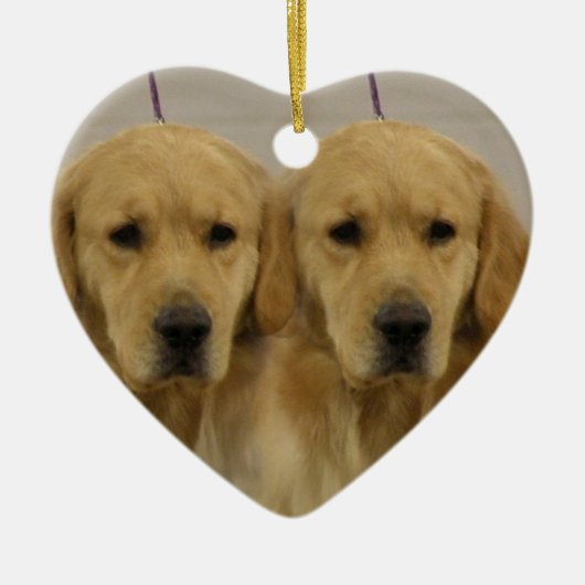 Golden Retriever Dog Twins Ornament (Voorkant)
