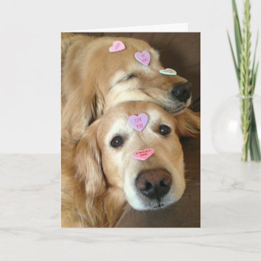 Golden Retriever Dog Valentijn Conversation Hearts Feestdagen Kaart (Voorkant)