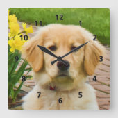 Golden Retriever Dog Vierkante Klok (Voorkant)