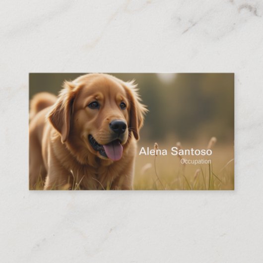 Golden Retriever Dog Visitekaartje (Voorkant)