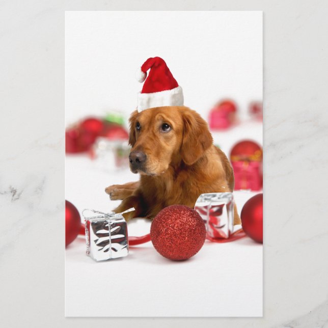 Golden Retriever Dog W Red Santa Hat Kerstmis (Voorkant)