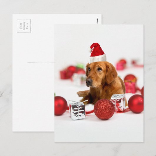 Golden Retriever Dog W Red Santa Hat Kerstmis Feestdagenkaart (Voorkant / Achterkant)