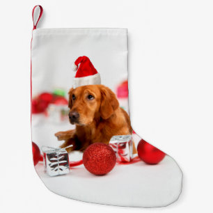 Golden Retriever Dog W Red Santa Hat Kerstmis Kleine Kerstsok
