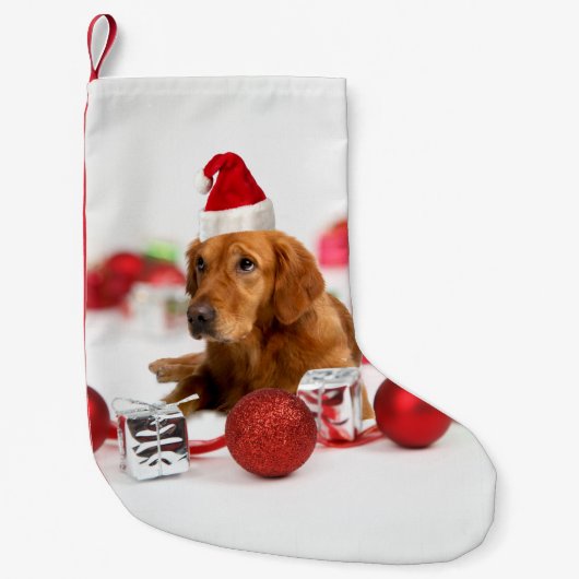 Golden Retriever Dog W Red Santa Hat Kerstmis Kleine Kerstsok (Voorkant)