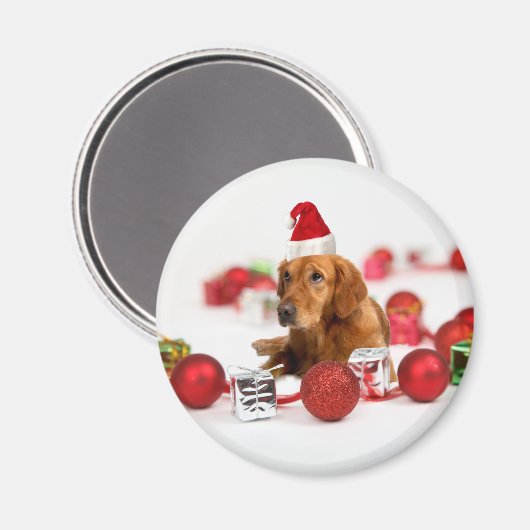 Golden Retriever Dog W Red Santa Hat Kerstmis Magneet (Voorkant / Achterkant)