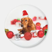 Golden Retriever Dog W Red Santa Hat Kerstmis Magneet (Voorkant)