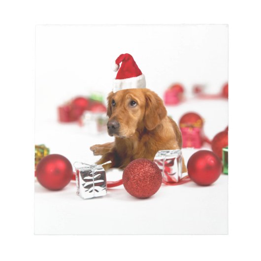 Golden Retriever Dog W Red Santa Hat Kerstmis Notitieblok (Voorkant)