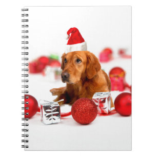 Golden Retriever Dog W Red Santa Hat Kerstmis Notitieboek