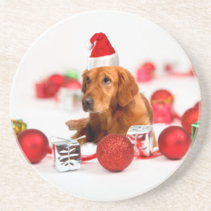 Golden Retriever Dog W Red Santa Hat Kerstmis Zandsteen Onderzetter