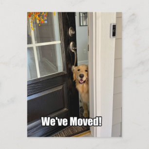 Golden Retriever Dog We hebben Verandering van adr Aankondigingskaart