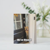 Golden Retriever Dog We hebben Verandering van adr Aankondigingskaart (Staand voorkant)