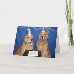 Golden Retriever Dogone Verjaardag Kaart