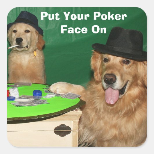 Golden Retriever Dogs die poker speelt Vierkante Sticker (Voorkant)