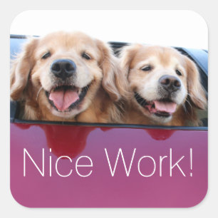 Golden Retriever Dogs Nice Work Teacher Rewards Vierkante Sticker