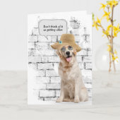 Golden Retriever draagt strokleurig pet verjaardag Kaart (Gele Bloem)