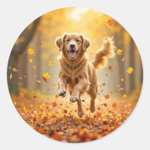 Golden Retriever draait in de herfst Bossen Ronde Sticker