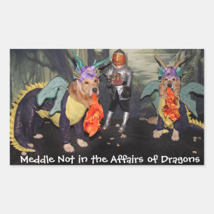 Golden Retriever Dragons Meddle Niet Rechthoekige Sticker