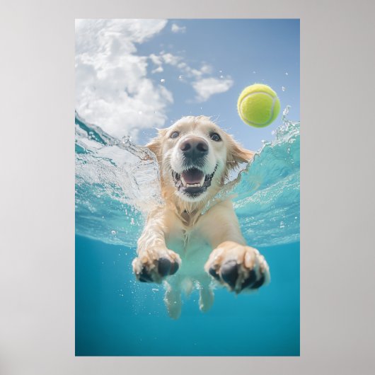 Golden Retriever Duiken Tennisbal onder water Poster (Voorkant)