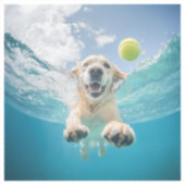 Golden Retriever Duiken Tennisbal onder water Sticker (Voorkant)