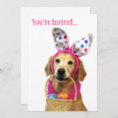 Golden Retriever Easter Bunny Kaart (Voorkant / Achterkant)